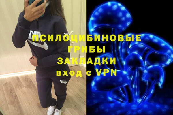 таблы Богданович